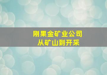 刚果金矿业公司 从矿山到开采